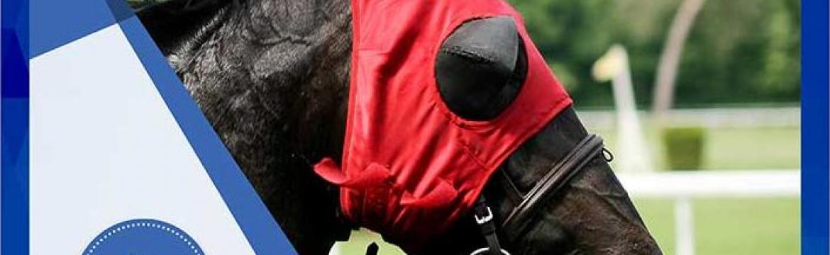 Conférence Horses and coaching – Mardi 16 Juin à 19h Conférence Horses and coaching – Mardi 16 Juin à 19h