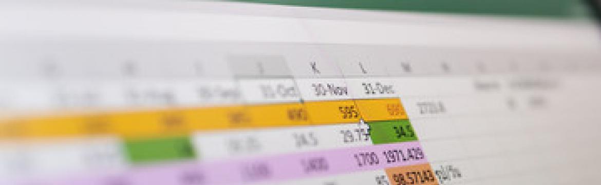 Microsoft Excel (Niveau débutant) + Certification TOSA Microsoft Excel (Niveau débutant) + Certification TOSA