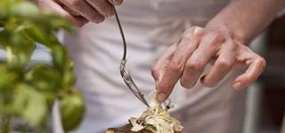 Les Executive MBA Cuisine et Entrepreneuriat font leur rentrée Les Executive MBA Cuisine et Entrepreneuriat font leur rentrée